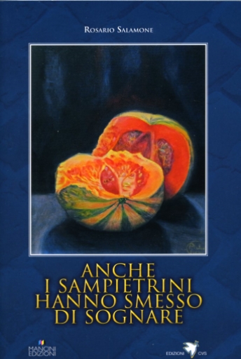 Sanpietrini2