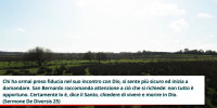 San Bernardo San Bernardo