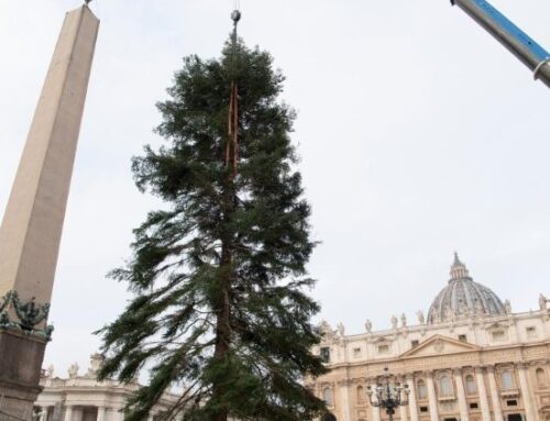 San Pietro, inaugurazione del presepe e dell’albero di Natale