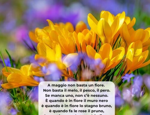 Oltre il visibile. Una poesia ogni domenica