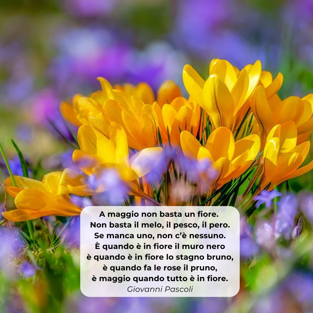 Oltre il visibile. Una poesia ogni domenica